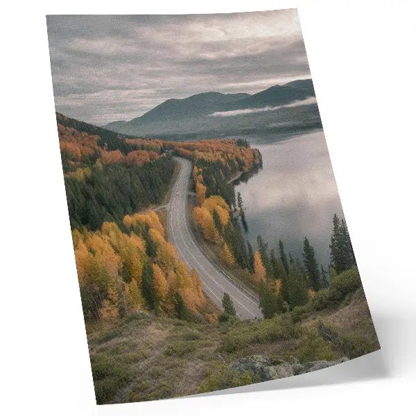 Póster de camino entre árboles y lago con colores saturados