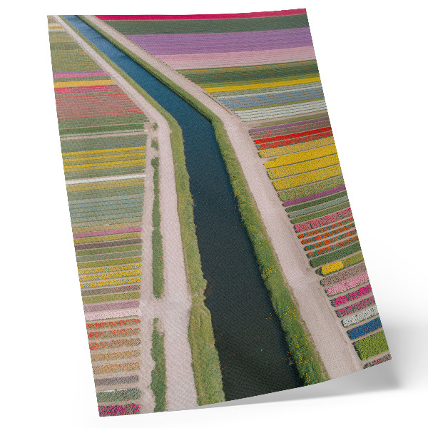 Lámina artística de alta calidad Franjas coloridas de flores a lo largo del canal