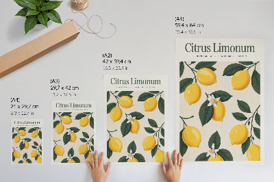 Póster Limones jugosos, hojas verdes, fondo crema