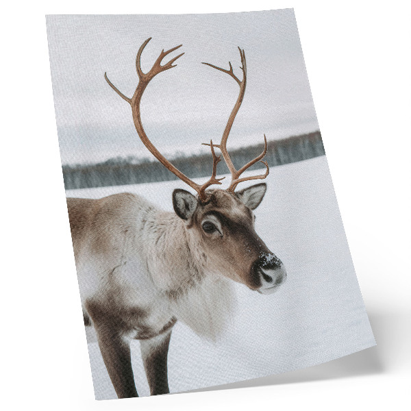 Póster reno en un paisaje invernal con pelaje beige