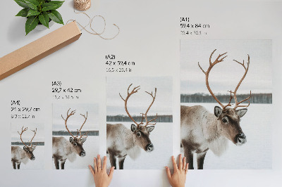 Póster reno en un paisaje invernal con pelaje beige