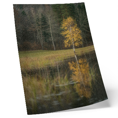 Lienzo decorativo moderno Un árbol dorado con el telón de fondo de un bosque oscuro y un lago.