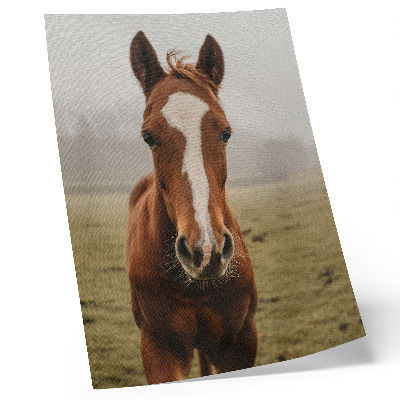 Lámina artística de caballos en tonos marrones y blancos en perspectiva de alta calidad