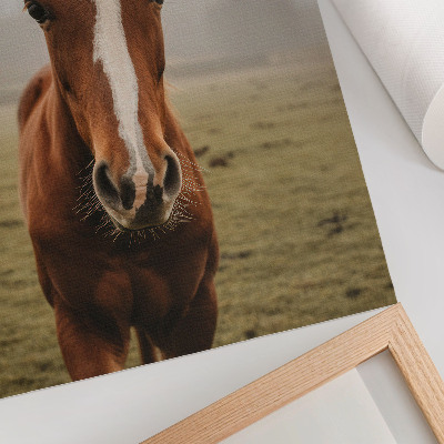 Lámina artística de caballos en tonos marrones y blancos en perspectiva de alta calidad