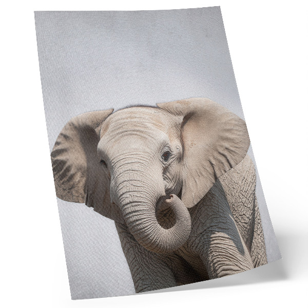 Lámina artística de alta calidad un elefante joven sobre un fondo claro