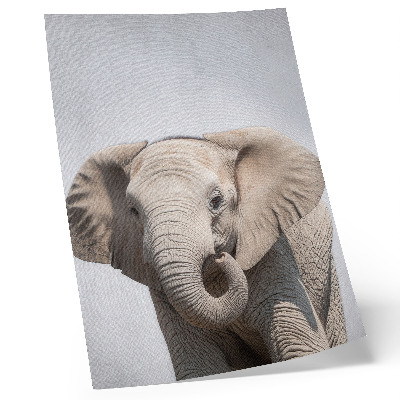 Lámina artística de alta calidad un elefante joven sobre un fondo claro