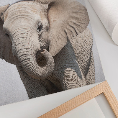 Lámina artística de alta calidad un elefante joven sobre un fondo claro