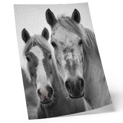 Lámina artística de caballos fotografía monocromática elegante