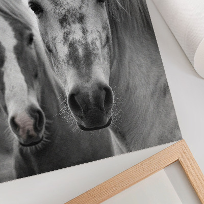 Lámina artística de caballos fotografía monocromática elegante