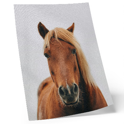 Lámina artística de caballo retrato minimalista de belleza natural y elegancia