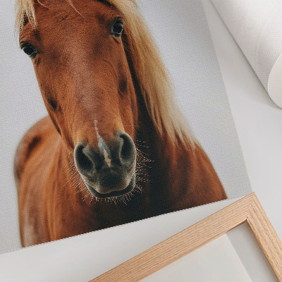 Lámina artística de caballo retrato minimalista de belleza natural y elegancia