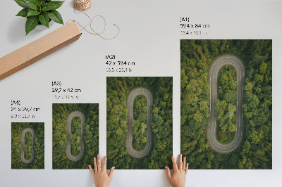 Lienzo decorativo moderno Un camino estrecho y sinuoso a través del bosque verde.