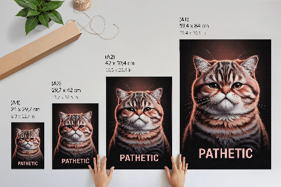 Póster Retrato de un gato con pelaje distintivo y mirada profunda.