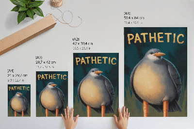 Póster con colores saturados Divertido pájaro con colores inusuales sobre fondo turquesa