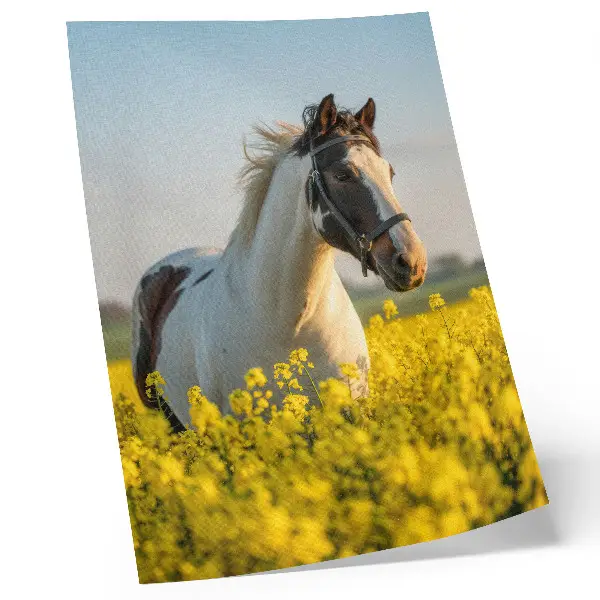 Póster de caballo en campo primaveral con colores saturados