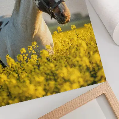 Póster de caballo en campo primaveral con colores saturados