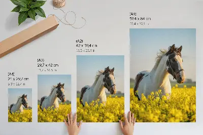 Póster de caballo en campo primaveral con colores saturados