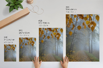 Lienzo decorativo moderno Bosque otoñal brumoso, abedules, hojas amarillas