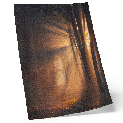 Póster Mágica luz, árboles del bosque, rayos de sol, paz