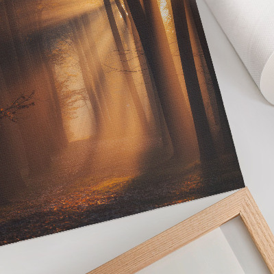Póster Mágica luz, árboles del bosque, rayos de sol, paz