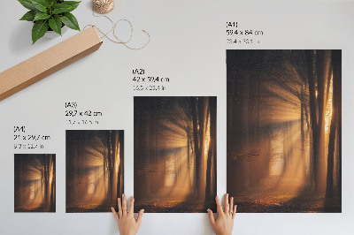Póster Mágica luz, árboles del bosque, rayos de sol, paz