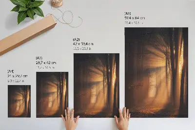 Póster mágica luz con árboles del bosque, rayos de sol y paz