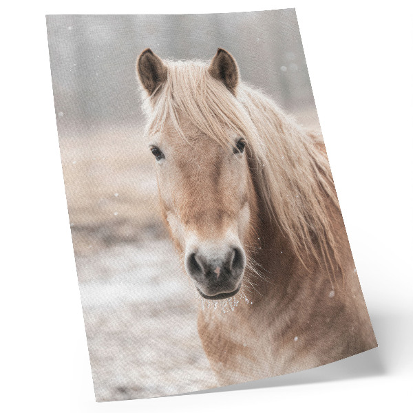 Lienzo decorativo moderno caballo en invierno con colores suaves que evocan paz y naturaleza