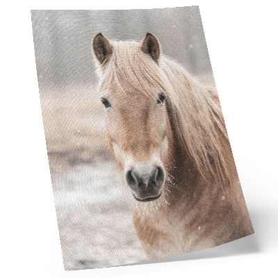 Lienzo decorativo moderno caballo en invierno con colores suaves que evocan paz y naturaleza