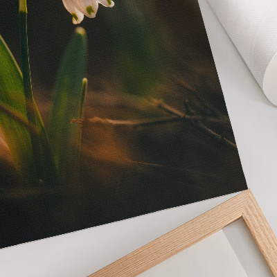 Lienzo decorativo moderno Hojas verdes de campanilla de invierno luz cálida