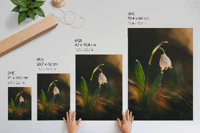 Lienzo decorativo moderno Hojas verdes de campanilla de invierno luz cálida