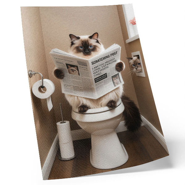 Póster Gato con periódico, pared beige, humor y calidez.