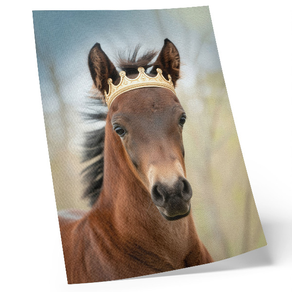 Lienzo decorativo moderno Un caballo con una corona sobre un fondo neutro.