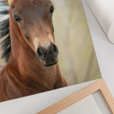 Lienzo decorativo moderno Un caballo con una corona sobre un fondo neutro.