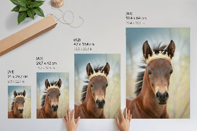 Lienzo decorativo moderno Un caballo con una corona sobre un fondo neutro.
