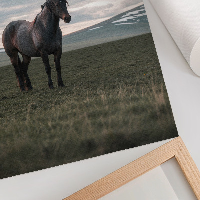 Póster de caballo en el prado con colores saturados, nubes, mañana y armonía de la naturaleza