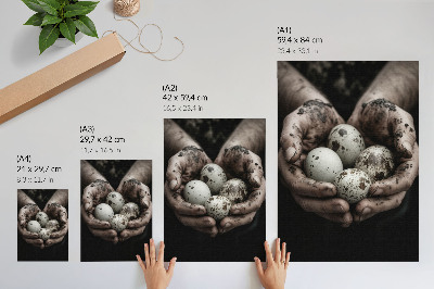 Póster Manos terrosas y huevos de codorniz llenos de contraste