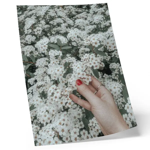 Lámina artística de alta calidad flores blancas con mano verde y uñas rojas