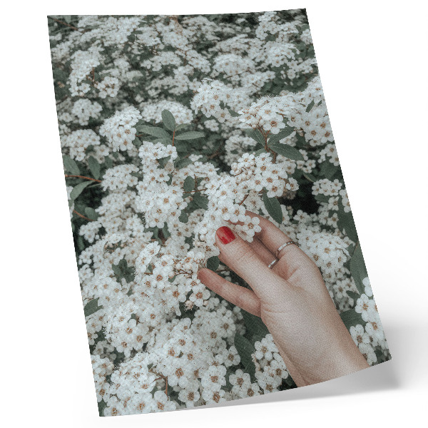 Lámina artística de alta calidad Flores blancas, mano verde, uñas rojas