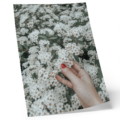 Lámina artística de alta calidad Flores blancas, mano verde, uñas rojas