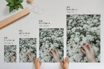 Lámina artística de alta calidad flores blancas con mano verde y uñas rojas