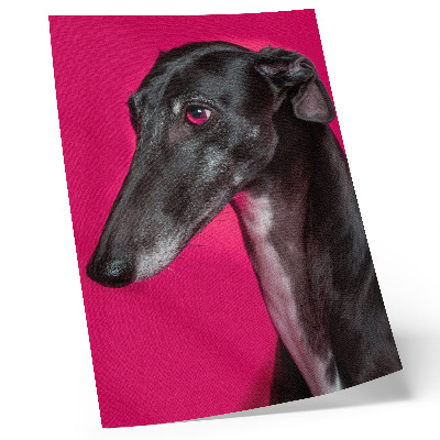 Lienzo decorativo moderno Un perro blanco y negro sobre un fondo rosa intenso.