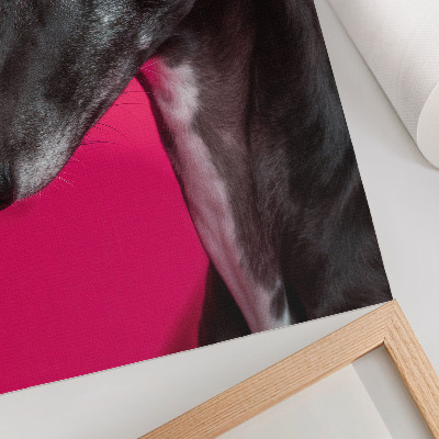 Lienzo decorativo moderno Un perro blanco y negro sobre un fondo rosa intenso.