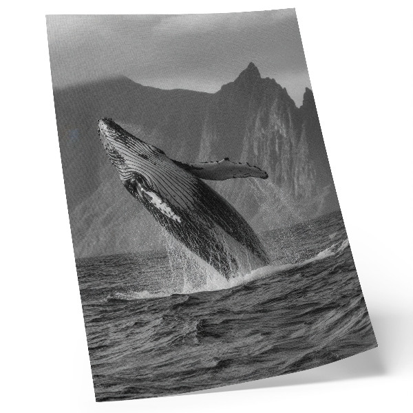 Póster de ballena saltando con montañas de fondo y colores saturados