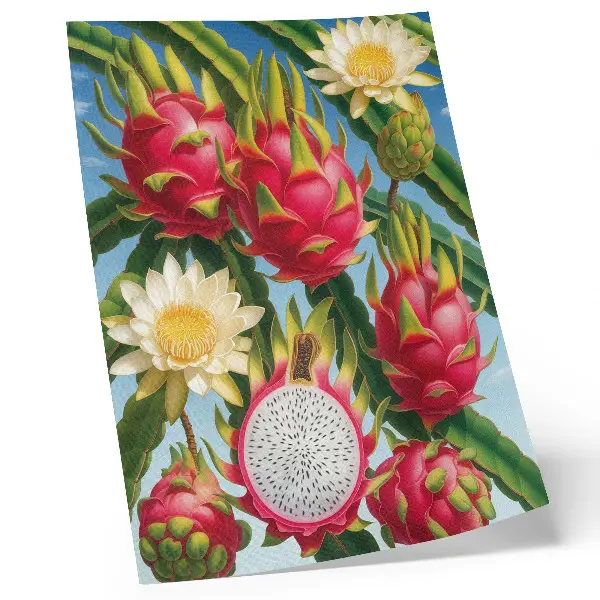 Lámina artística de alta calidad con diseño de frutas exóticas, cactus, cielo y colores brillantes