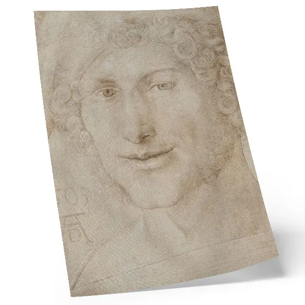 Póster de la obra Cabeza de un joven (1503) de Alberto Durero con colores saturados