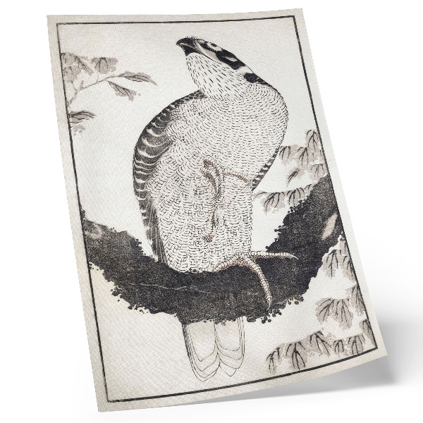 Lienzo decorativo moderno Pájaro de Katsushika Hokusai, del Álbum de bocetos (1814), grabado japonés antiguo en madera.