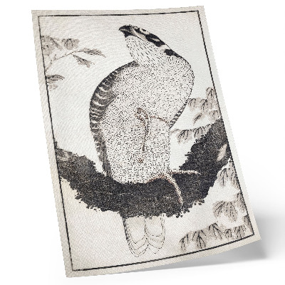 Lienzo decorativo moderno Pájaro de Katsushika Hokusai, del Álbum de bocetos (1814), grabado japonés antiguo en madera.