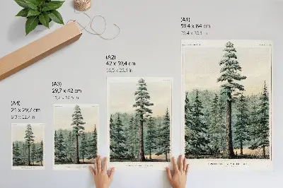 Póster de Wellingtonia árbol gigantesco sobre el bosque con un hombre a sus pies en colores saturados