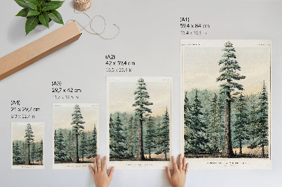 Póster con colores saturados Wellingtonia, un árbol gigantesco que se alza imponente sobre el bosque circundante, con un hombre a sus pies.