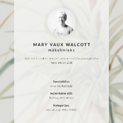 Póster Piña silvestre (Tillandsia fasciculata) (1921) de Mary Vaux Walcott
